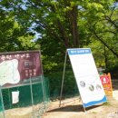 태조산공원입구 이미지