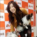 참