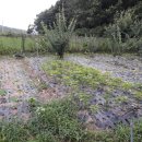 동례농장 이미지