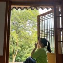 예산-20 이미지