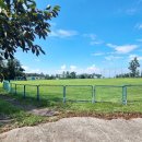 애월읍 소길리풋감마을 이미지