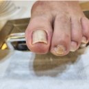 네일다움 이미지