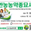 한농종묘사 이미지