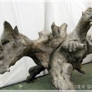 운좋은횟집 이미지
