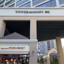 세컨디포레스트 광안리점 | 광안리리조또 맛있는 세컨디포레스트 핫플 후기