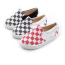 라스텔라 이미지