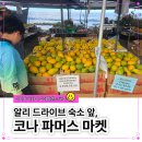 (주)레인보우드림 | 하와이 빅아일랜드 코나 파머스 마켓 후기 알리 드라이브 숙소 앞 현지 감성 가득한 아침 산책