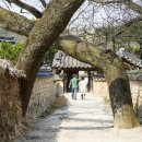 남사예담촌마을 이미지