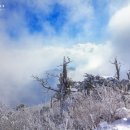 설천면109 이미지