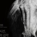 400077 이미지