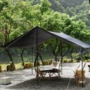 벅 카카오 검색결과