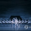 (공연) 국립발레단 연합뉴스