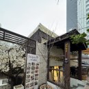 사이공핫팟 - 성남시 분당구 분당로53번길 11 | 삼성동/강남구청역 월남쌈 맛집 사이공핫팟 방문 후기