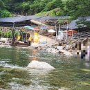 예치민박 이미지