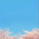 일프로 이미지