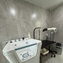 뭉개뭉개인강릉 이미지