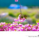 a fine light 이미지