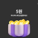 하나테크 | 📱 하나은행 하나머니 앱테크 후기 – 하루 평균 50원씩 꾸준히 쌓이는 소확행 💰