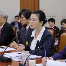 차진아 교수의 “헌법상 기관인 ‘검찰청’?(헌법기관과 법률기관의 구별) 이미지