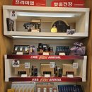 정관장염창점