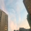 숲속의포차 이미지