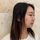 알렉산드르드파리 잠실 에비뉴엘점 이미지