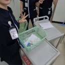 멍플랙스 | &#39;어라라?&#39; 의 6월사건일지