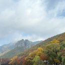 삼보기사식당 | [산행후기] 주왕산은 여전히 주황주황해!
