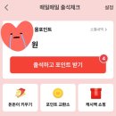 돈돈농장 | 올팜 수확 마친 소감 돈돈이, 올워크까지 섭렵했던 자의 솔직후기