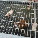 지혜이발관 이미지