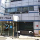 예루살렘정형외과 이미지