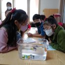 선소경로당 이미지