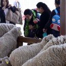 풍치축산 이미지