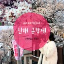 북원상가 | 진해군항제 벚꽃축제 로망스다리 진해역 개화상황 주차 먹거리