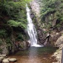 전통묵집 이미지