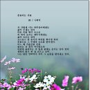 흔들리는 것들 - 나희덕 이미지