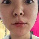 일상 일기_이름을 알고 나면 이웃이 되고, 색깔을 알고 나면 친구가 되고