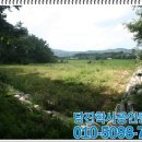 정미농협주유소 이미지