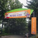 도그베이 수원 이미지