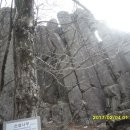 천제당입구 Daum카페