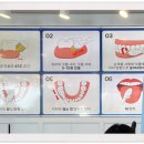 소닉메이트 이미지
