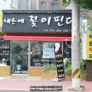 내손에핀꽃