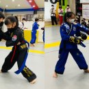 본국무예원 합기도, 검도, 국궁활쏘기 옥정본관 이미지