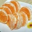 탁이농장 이미지