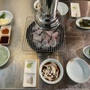 미금수뿔 이미지