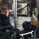 명도수산 세계일보