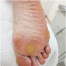 레푸스 호매실점 이미지