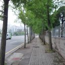 비봉화석지 | 수문포 해변~비봉공룡알화석지 라이딩 후기-146km(&#39;16.05.25.수)