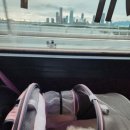 댕댕이버스 | 135 펫츠고로 떠나요!(6), 경기바다 댕댕이 해양레저