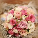 노블 | 노블 결정사 후기 핵심만 요약